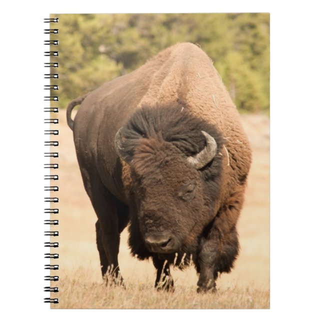Caderno Espiral Bisonte (Frente)