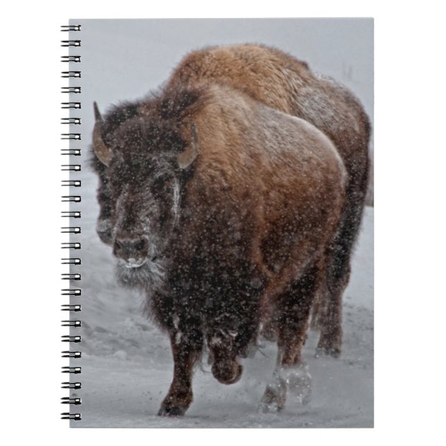 Caderno Espiral Bisonte de Yellowstone (Frente)