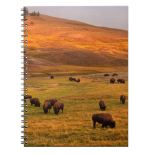 Caderno Espiral Bisonte que pasta no monte no vale de Hayden