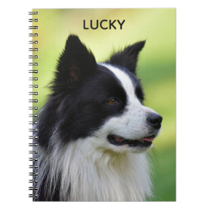 Caderno Espiral Black and White Border Collie Dog