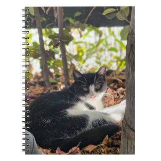Caderno Espiral Black and White cat in a bush