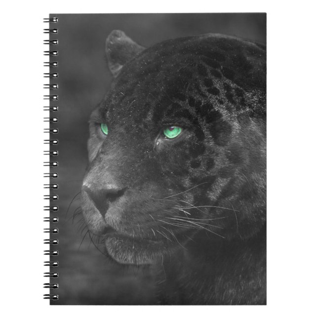 Caderno Espiral Black Jaguars Emerald Gaze (Frente)