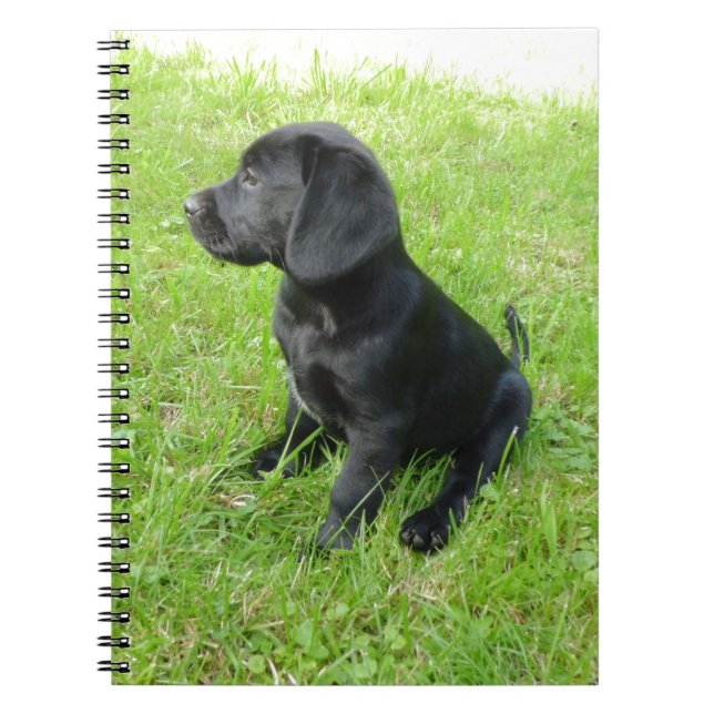 Caderno Espiral Black Labrador Retriever Em Grama (Frente)