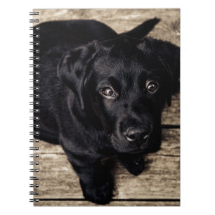Caderno Espiral Black Labrador Retriever Puppy sobre madeira