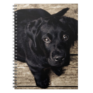 Caderno Espiral Black Labrador Retriever Puppy sobre madeira