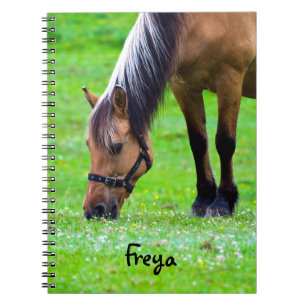 Caderno Espiral Bloco de anotações