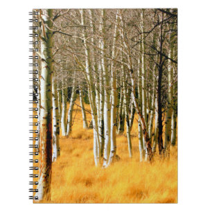 Caderno Espiral bloco de anotações da floresta aspen