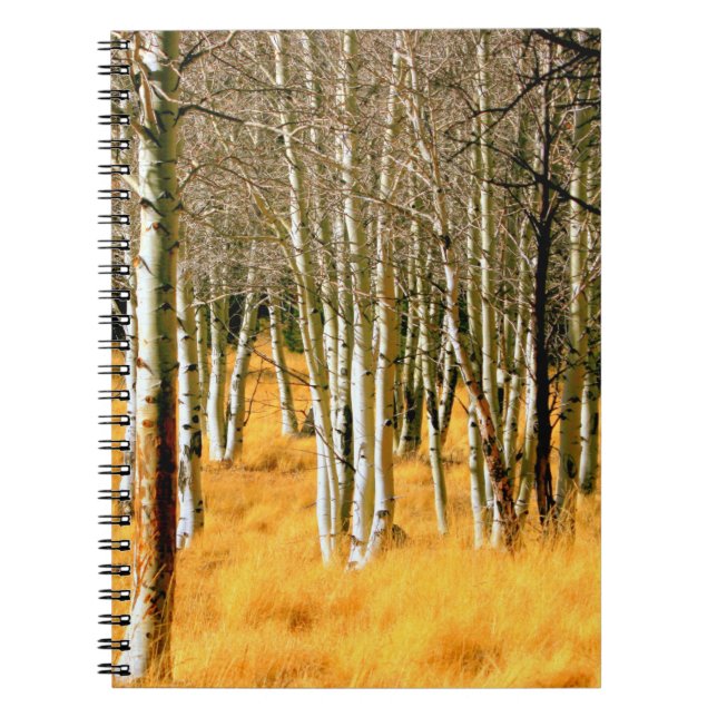 Caderno Espiral bloco de anotações da floresta aspen (Frente)