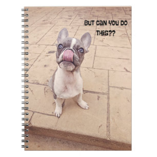 Caderno Espiral Bloco de anotações de cachorrinho francês