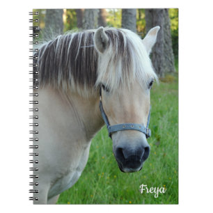 Caderno Espiral Bloco de anotações espiral