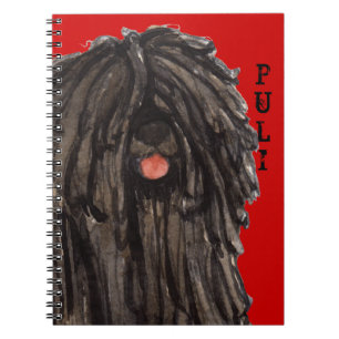 Caderno Espiral Bloco de Cor do Puli
