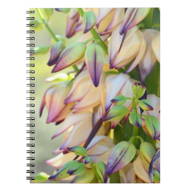 Caderno Espiral bloco de flores yucca (Frente)