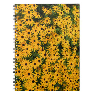 Caderno Espiral Bloco de Notas Amarelo do Daisies