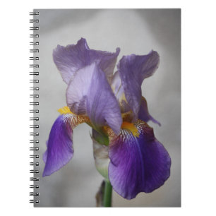 Caderno Espiral Bloco de notas da íris com barba roxa