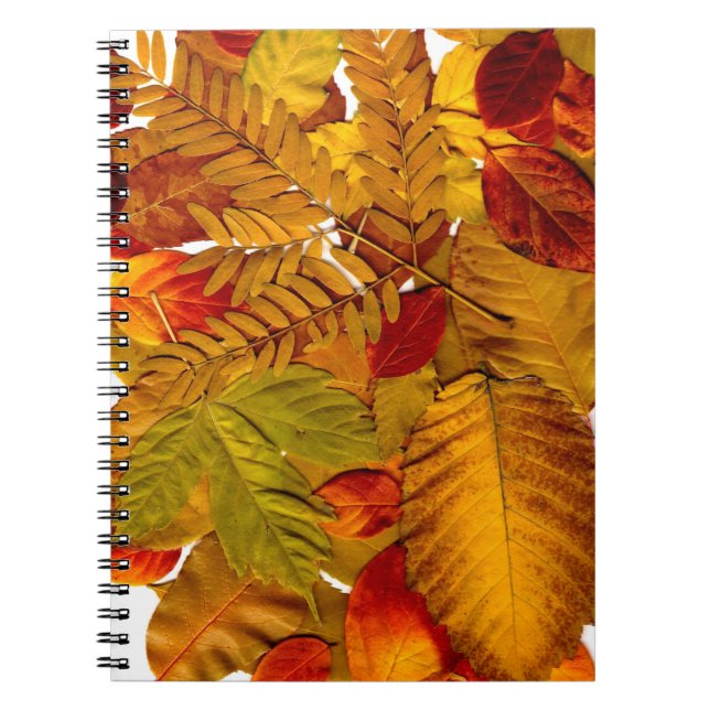 Caderno Espiral Bloco de Notas de Foto (80 Páginas B&W) (Frente)