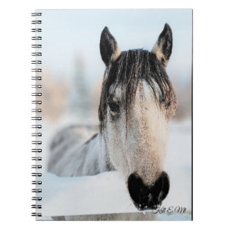 Caderno Espiral Bloco de Notas de Foto Horso