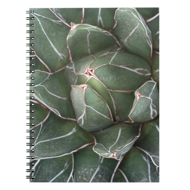 Caderno Espiral Bloco de Notas de Fotografia de Planta Suculente ( (Frente)