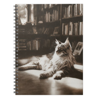 Caderno Espiral Bloco de Notas de Raio Solar de Biblioteca Cat