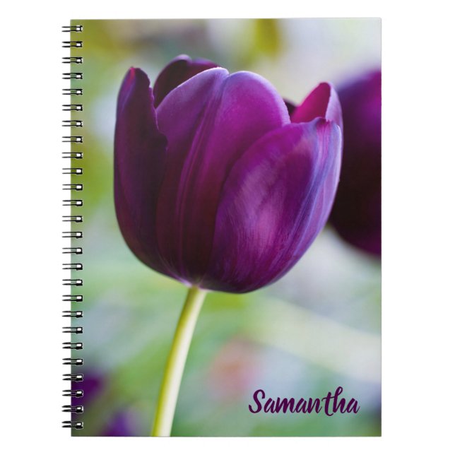 Caderno Espiral Bloco de notas de tulipa púrpura (Frente)
