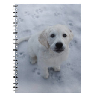 Caderno Espiral Bloco de notas do filhote de cachorro do golden