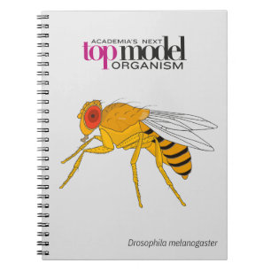 Caderno Espiral Bloco de notas espiral Drosophila