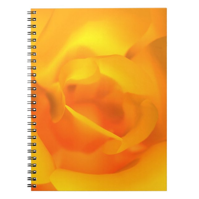 Caderno Espiral Bloco de notas Rosa (Frente)