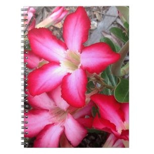 Caderno Espiral Bloco de Rosa do deserto