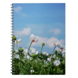 Caderno Espiral Bloeiend Papaver somneferum maanzaad bloemen.