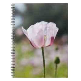 Caderno Espiral Bloemen veld met close up bloeiende lila bloem.