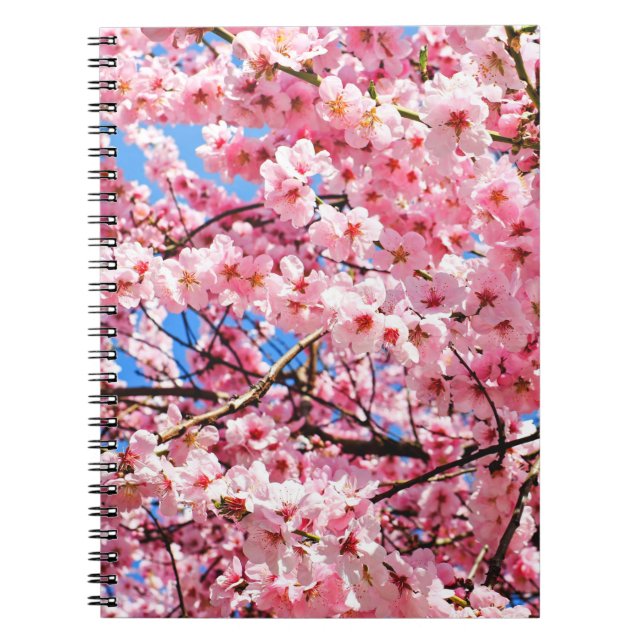 Caderno Espiral Blossomas de Cereja Japoneses (Frente)