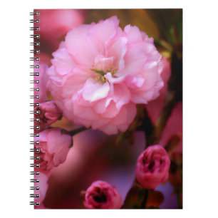 Caderno Espiral Blossomas de Cereja Rosa-Primavera adoráveis