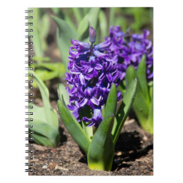 Caderno Espiral Blue Geocinth em primavera