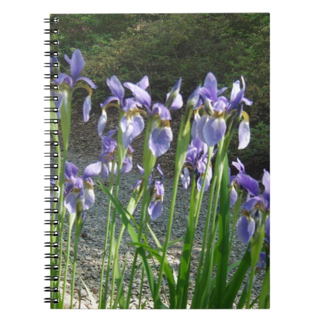 Caderno Espiral Blue Iris (Frente)