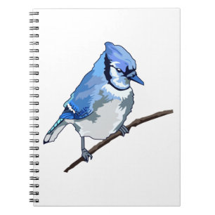 Caderno Espiral Blue Jay