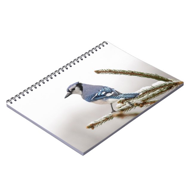 Caderno Espiral Blue Jay no inverno (Left Side)