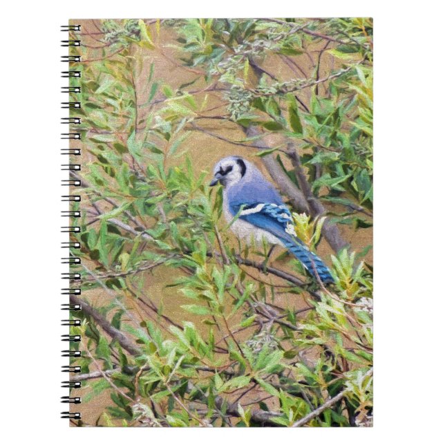 Caderno Espiral Blue Jay on Wax Myrtle (Frente)