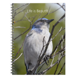 Caderno Espiral Bluebird in Tree (my photography)