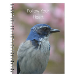 Caderno Espiral Bluebird (my photography)