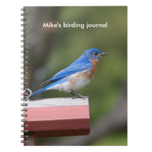 Caderno Espiral Bluebird oriental