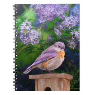 Caderno Espiral Bluebird oriental na neve - Foto original