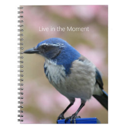 Caderno Espiral Bluebird Pink Floral (my photography)