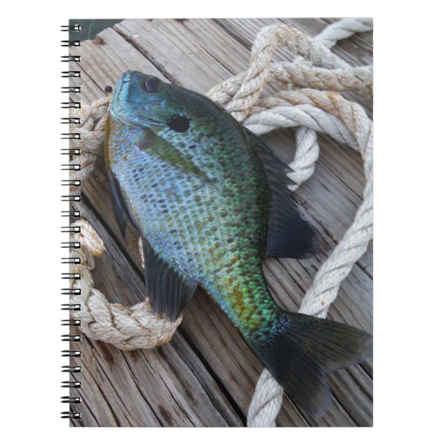 Caderno Espiral bluegill no doca (Frente)