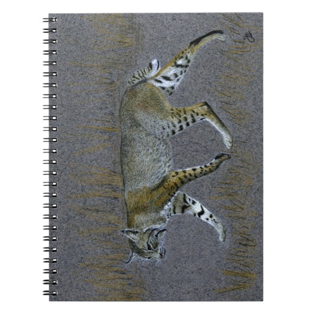 Caderno Espiral Bobcat (Frente)