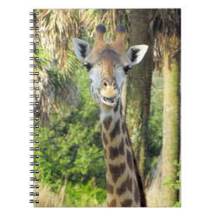 Caderno Espiral Bobo Girafa - Notebook 6,5 x 8,75