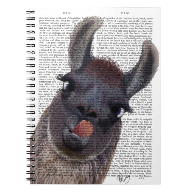 Caderno Espiral Bobo Llama (Frente)
