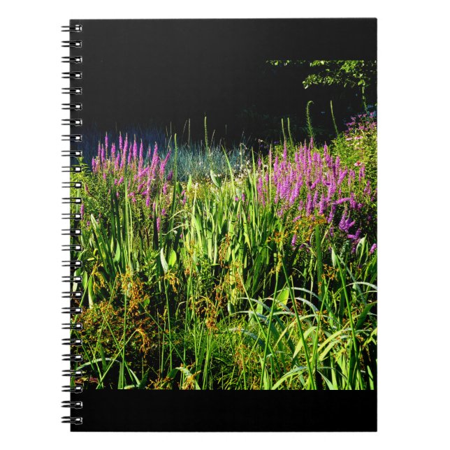 Caderno Espiral Bog Garden (Frente)