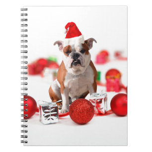 Caderno Espiral Boias de Natal para Bulldog Ornamentos de Caixa Ve