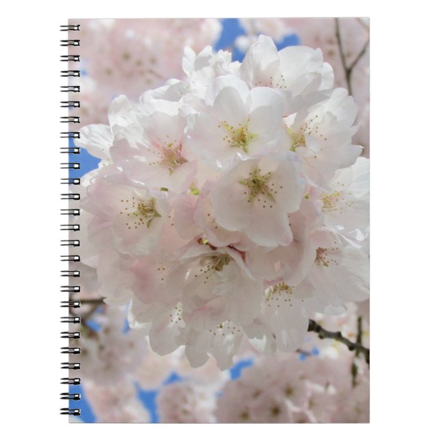 Caderno Espiral Bolas de Flor Rosa. (Frente)