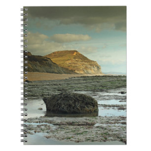 Caderno Espiral Boné ouro, Dorset