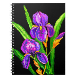 Caderno Espiral Bonita